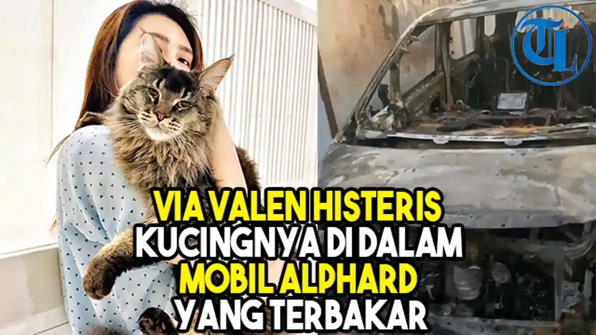 VIDEO Via Vallen Histeris Kucing Kesayangannya Berada di Dalam Mobil Alphard yang Terbakar
