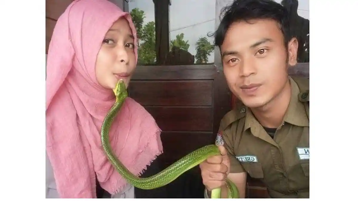 Nasib Wanita Fotonya Dulu Viral Digigit Ular di Dagu, Terkuak Kisah di Baliknya Berawal Bercanda