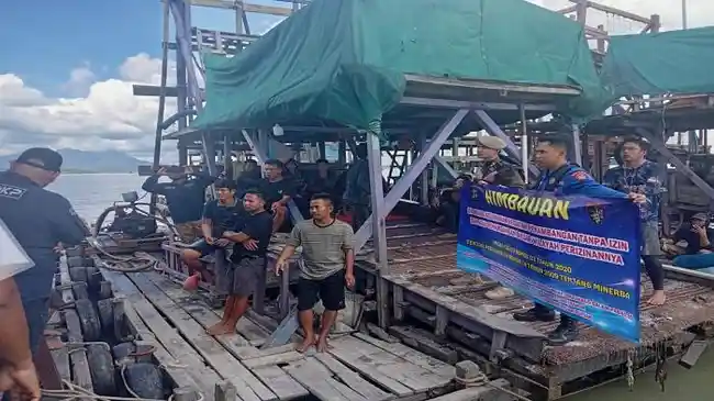 Tribun