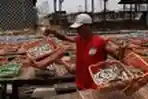 Produksi Ikan Asin Pada Musim Kemarau