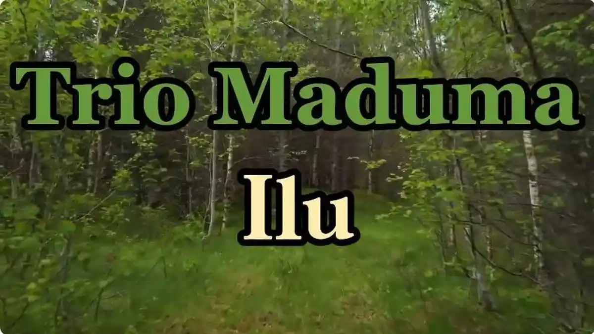 Arti dan Lirik Lagu Batak Ilu Dipopulerkan oleh Trio Maduma