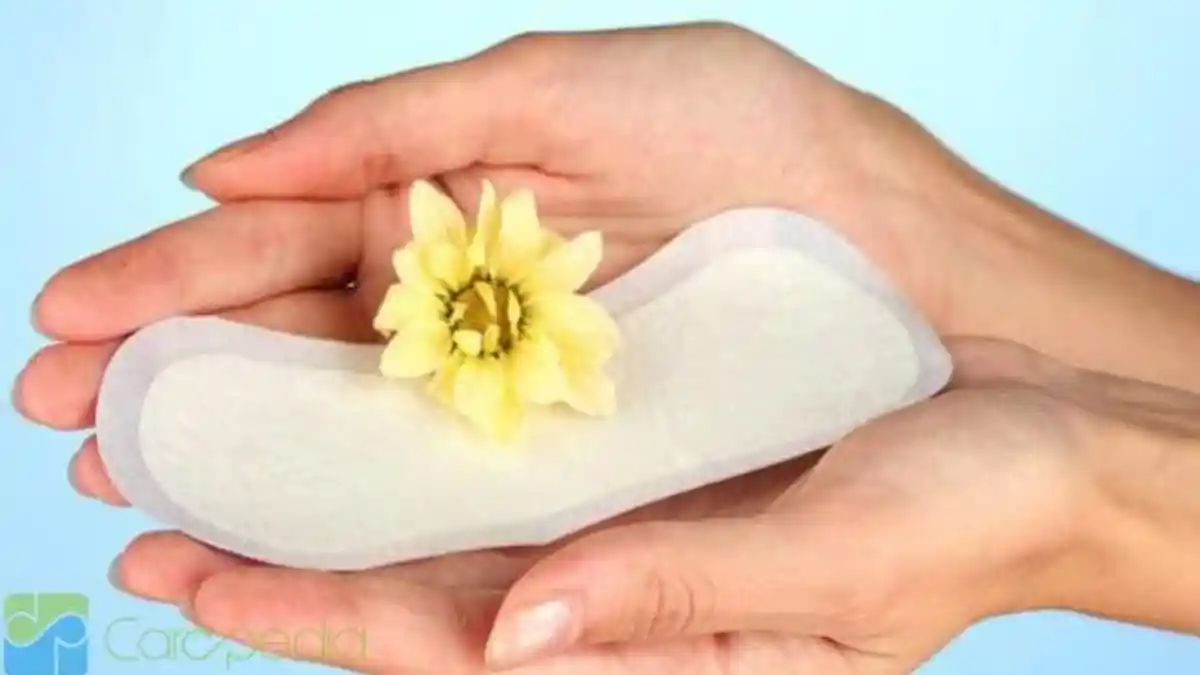 Jangan Sembarangan! Biar Nggak Menjijikkan, Ini Cara yang Benar Membuang Pembalut Wanita