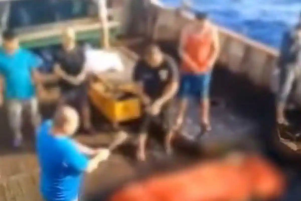 Buntut Perbudakan WNI di Kapal Berbendera China, Bareskrim Bidik Perusahaan yang Berangkatkan ABK