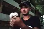 Sukses Budi Daya Tikus Putih, Pemuda Pungging Mojokerto Hasilkan Cuan Jutaan Rupiah Perbulan