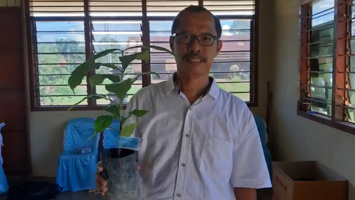 Kopi Pesisir Belitung Memiliki Cita Rasa Berbeda, Kandungan Kafeinnya Lebih Rendah