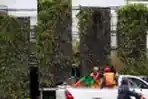 Taman Vertikal Di DKI Tidak Terawat