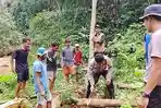 Bangun Jembatan Darurat, Kades Golo Lajang - Golo Riwu Minta Pemda–DPRD Manggarai Barat Turun Tangan