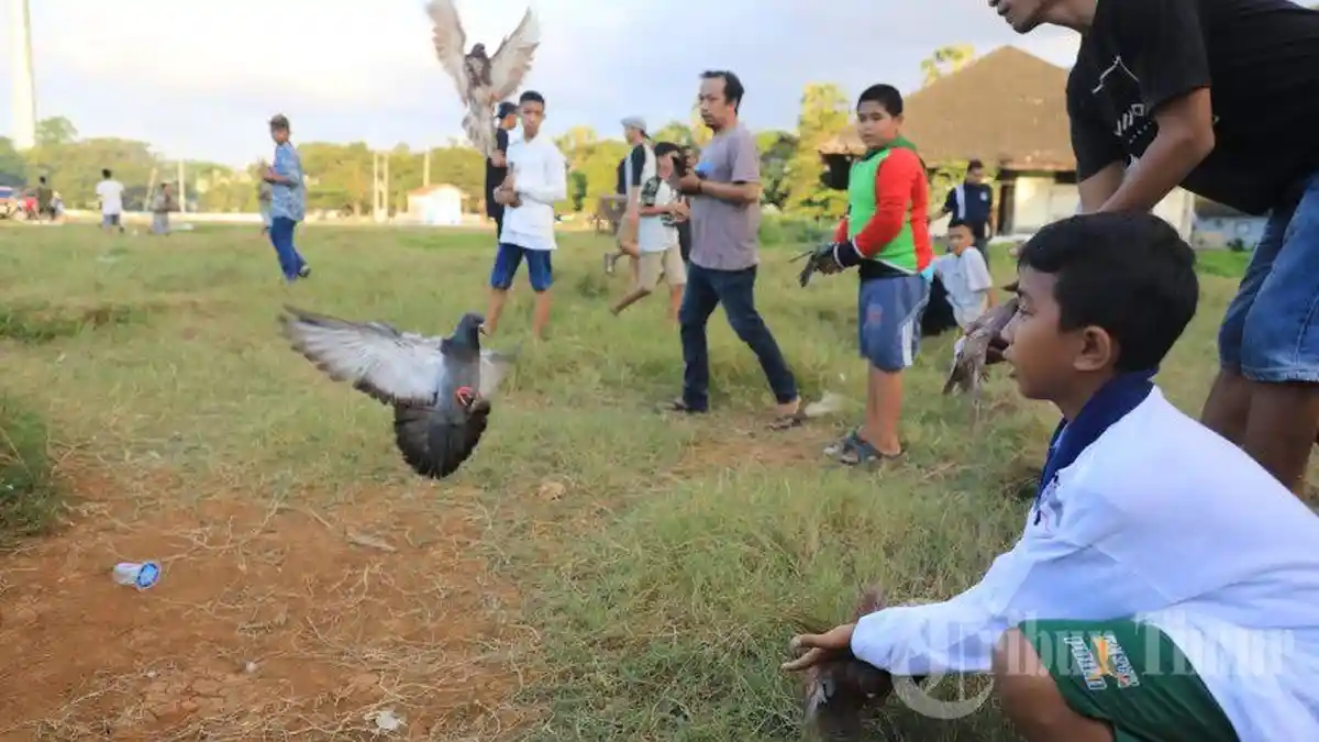 Hobi Main Burung? Ini 8 Toko Burung dan Perlengkapannya, Burung Walet, Burung Pipit, Burung Perkutut