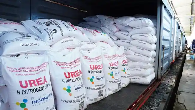 Pupuk Langka di Tengah Krisis Global, Prabowo Justru Turunkan Harga 20 Persen untuk Petani