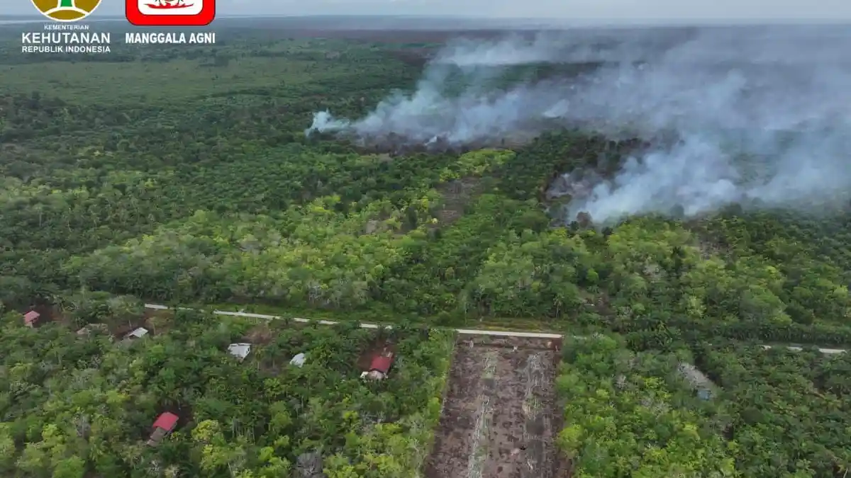 Pemdaman Karhutla oleh Manggala Agni Berlanjut, Terbanyak di Bengkalis