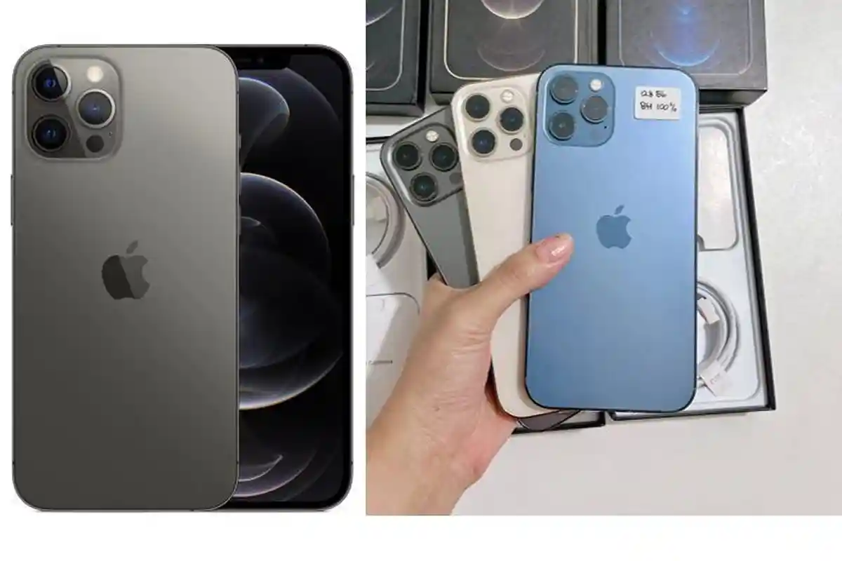 Spesifikasi Berkelas iPhone 12 Pro Max, Harga HP iPhone 12 Pro Max Merosot Jelang Akhir Tahun 2025