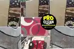 pro-clean-indonesia-3.jpg
