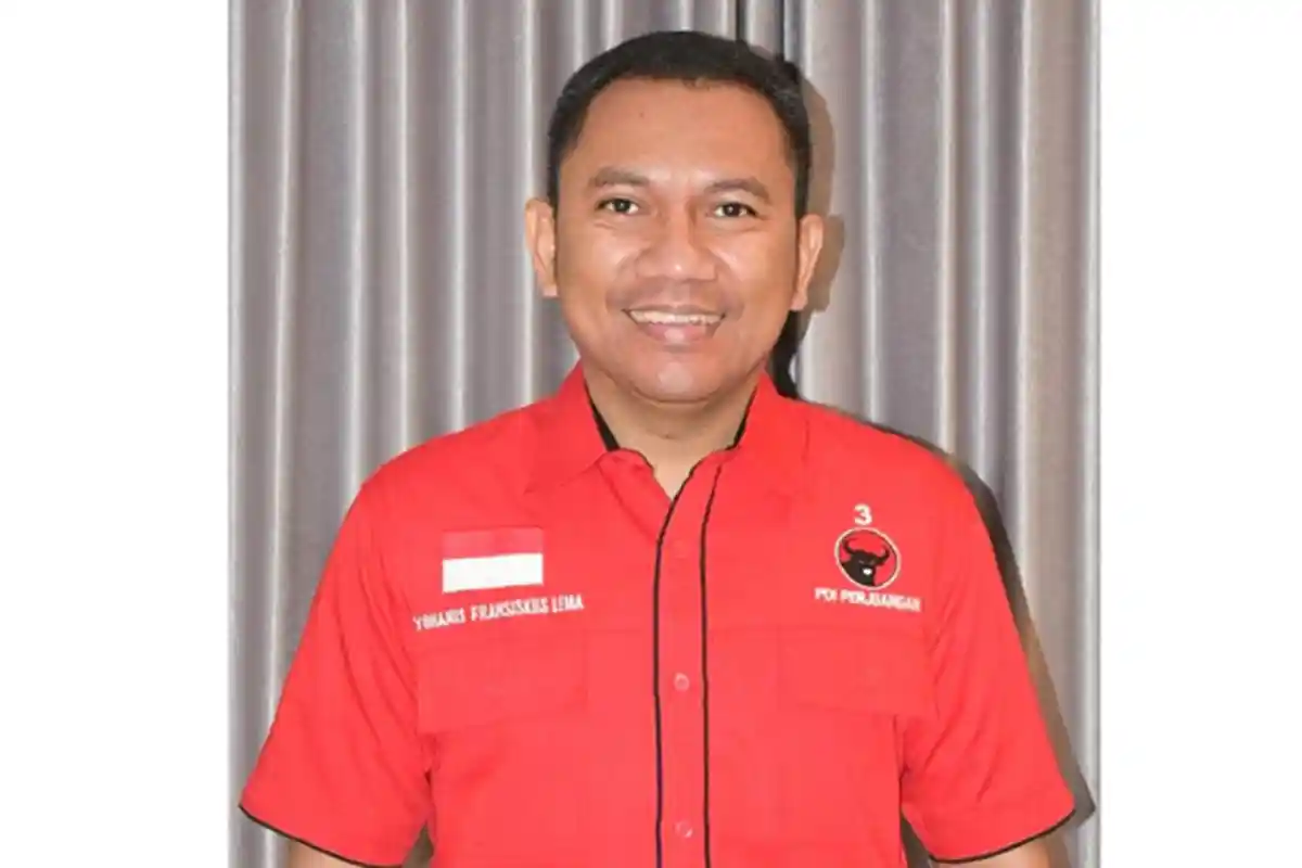 MK Tolak Gugatan Gerindra, Begini Tanggapan Anggota DPR RI Terpilih asal NTT Ansy Lema