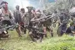 para-anggota-dan-senjata-kkb-papua.jpg