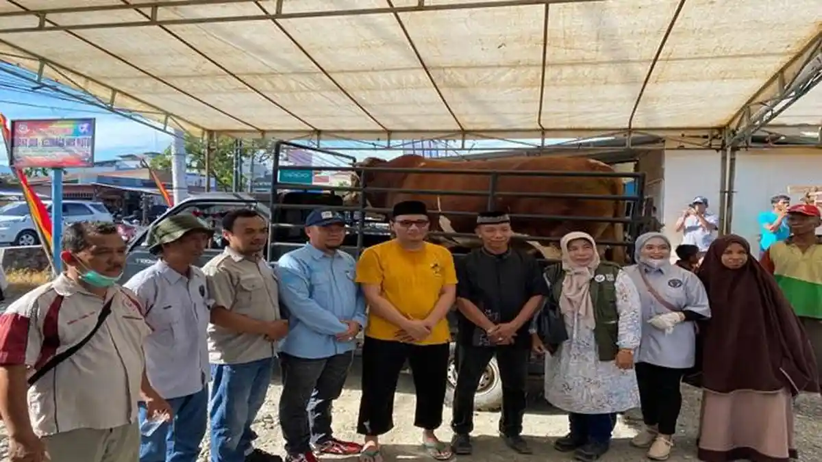 Sapi Kurban Presiden di Pasaman Barat Sumbar Diserahkan kepada Panitia Masjid Almukminin
