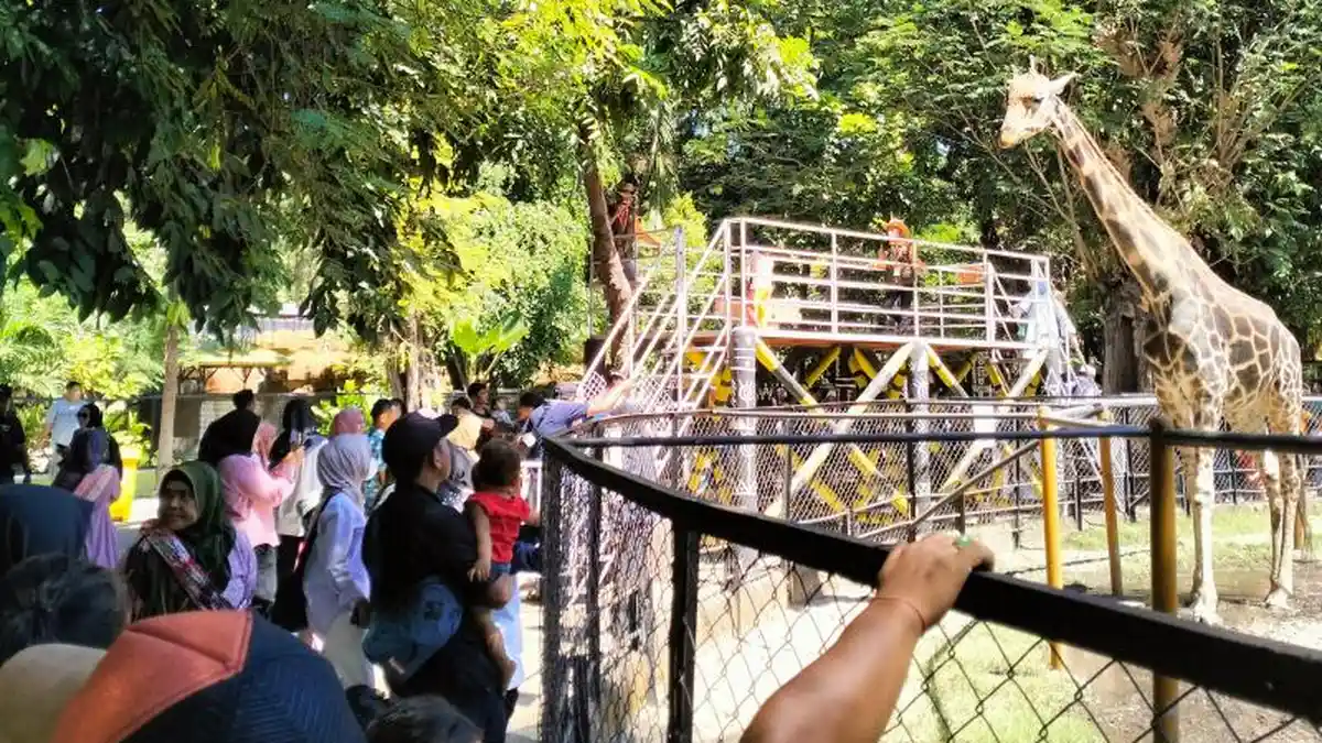 Berlibur Agustusan, Kebun Binatang Surabaya Beri Diskon Tarif Masuk Bagi yang Bernama Agus