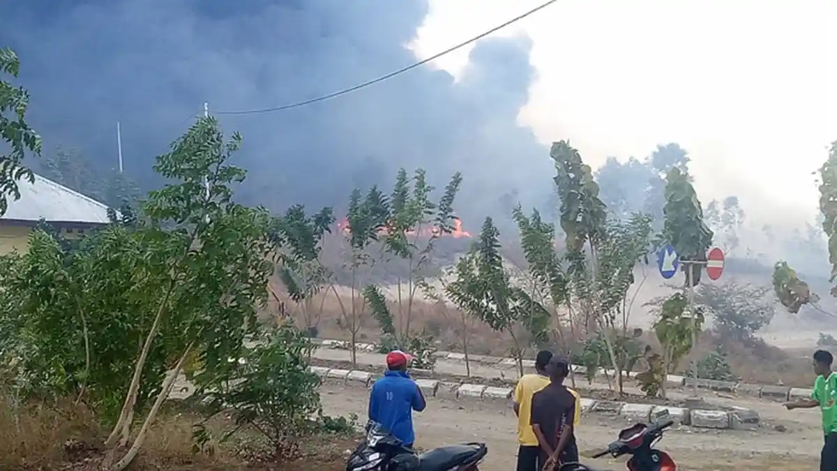 Warga Suka Bakar Hutan, Ini Permintaan Wakil Bupati Lembata