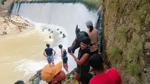 Zidan-berhasil-mendapatkan-kepala-kerbau-dalam-Nydran-Dam-Bagong.jpg