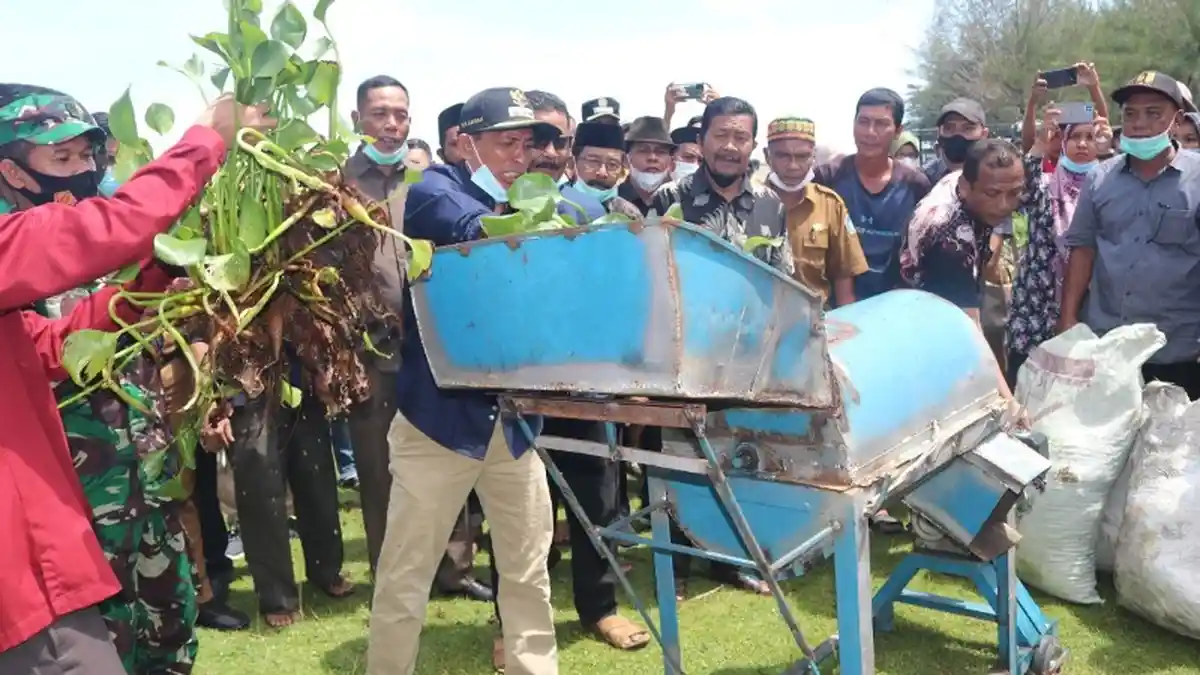 Poltas Latih Warga Olah Eceng Gondok Jadi Pupuk Organik, Bupati Semangati Mahasiswa dan Masyarakat