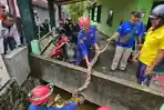 Proses-Evakuasi-Ular-Piton-di-Saluran-Irigasi-di-Jalan-Yos-Sudarso.jpg