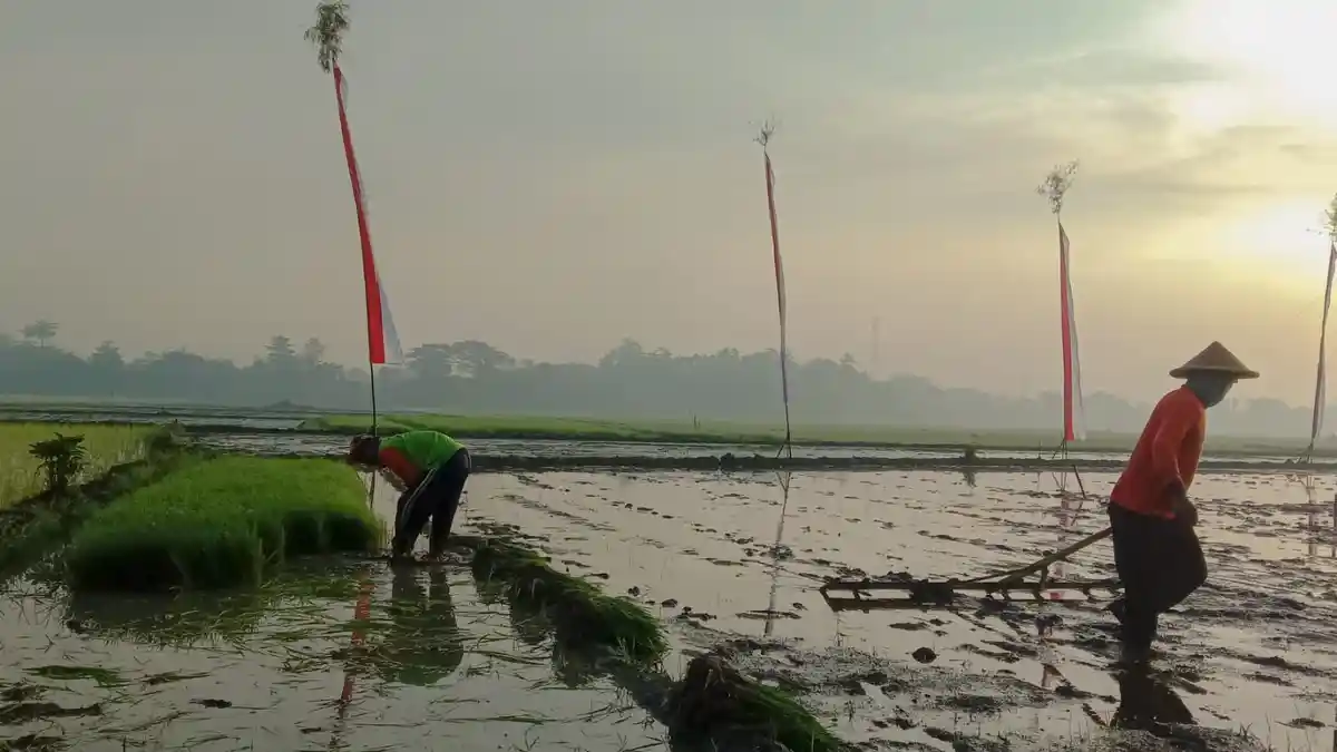 Kemarau Panjang, Berikut Daftar Wilayah Terdampak Krisis Air Bersih di Tangsel Banten