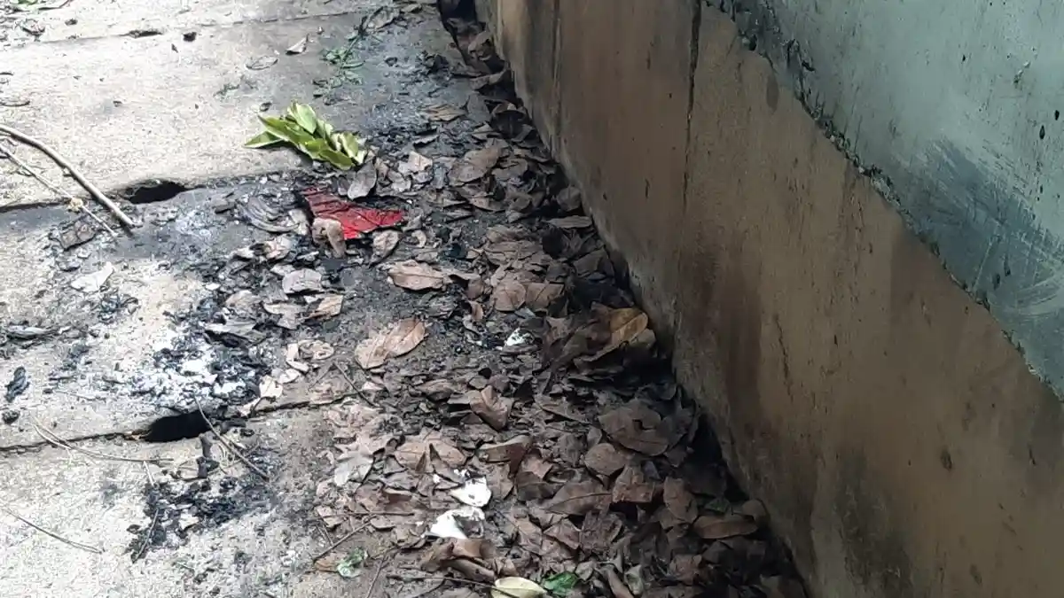 Pria Bakar Diri di Dekat Kali Ciliwung, Pakaian dan Tanaman di Sekitarnya Ikut Gosong