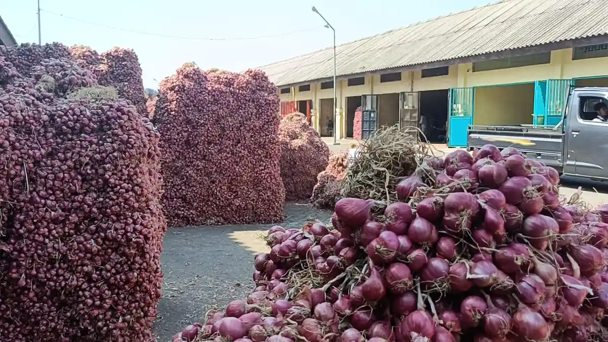 Panen Raya dan Stok Melimpah, Harga Bawang Merah di Probolinggo Anjlok