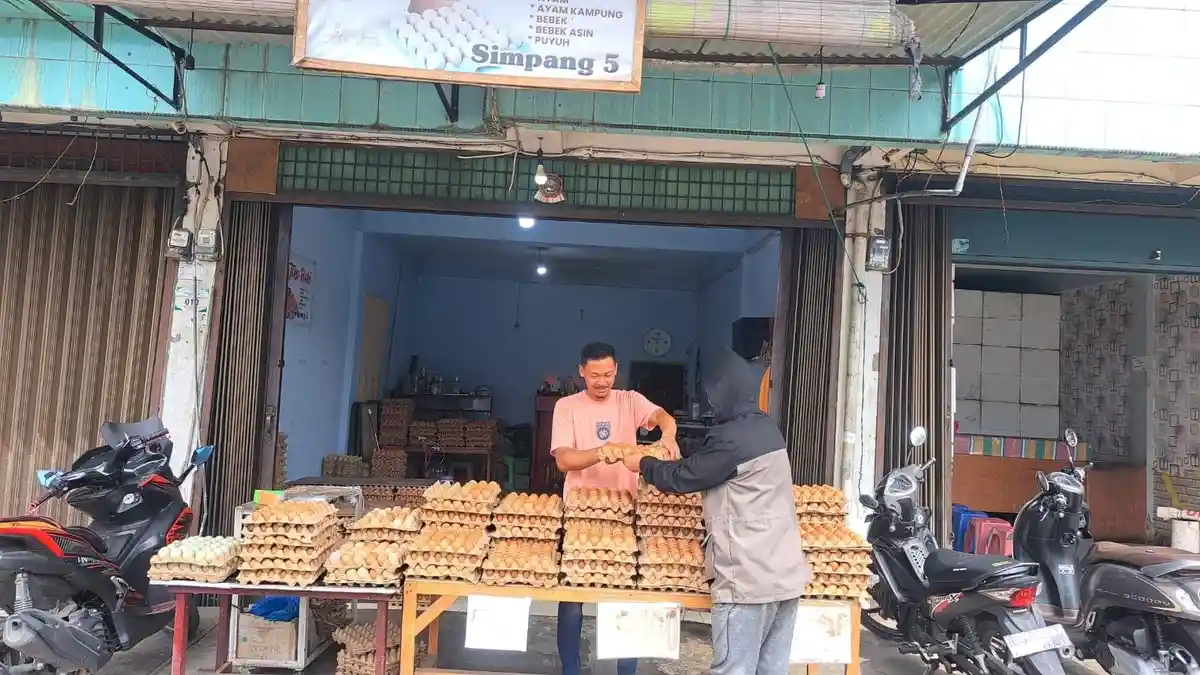 Harga Telur di Aceh Tengah Turun Rp 2.000 per Papan