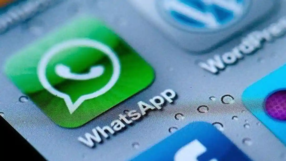 Cara Gunakan WhatsApp Langsung di 4 Perangkat, Apa Saja Syarat Fitur WA Multidevice