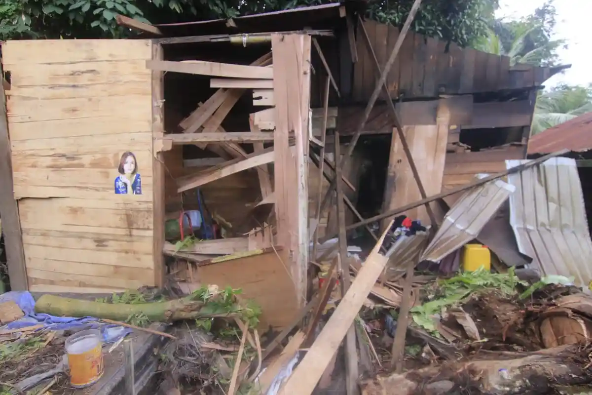 BPBD Samarinda Rencanakan Tanam Tumbuhan Vetiver Tanggulangi Longsor, Terkendala karena Covid-19