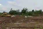 Agus Sebut Persoalan Utama Banjir Demak Tergantung Kondisi Aliran Sungai di Hulu