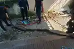 ular-piton-sepanjang-empat-meter-di-Jalan-Puskesmas.jpg
