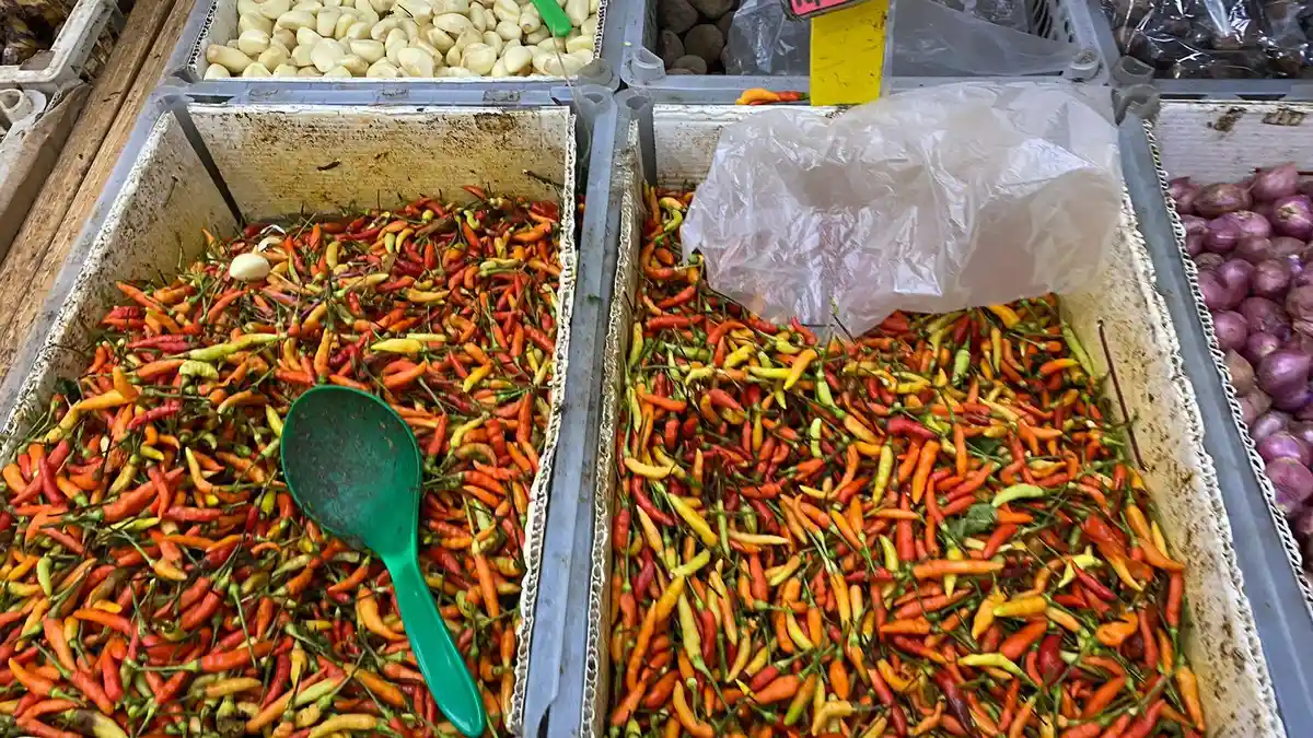 Harga Rica di Pasar Swalayan Manado Sulawesi Utara Kembali Turun