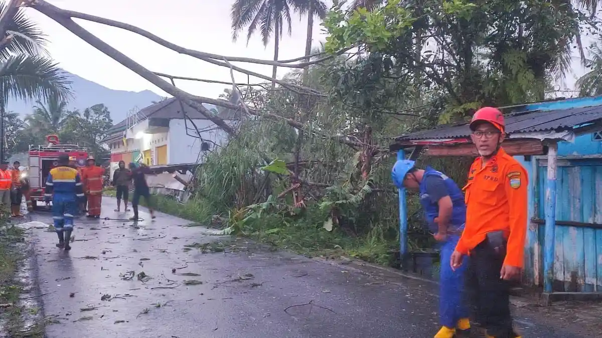 Cuaca Ekstrem di Tasikmalaya Hari Ini: 7 Titik Bencana Tersebar di Padakembang dan Sukaratu