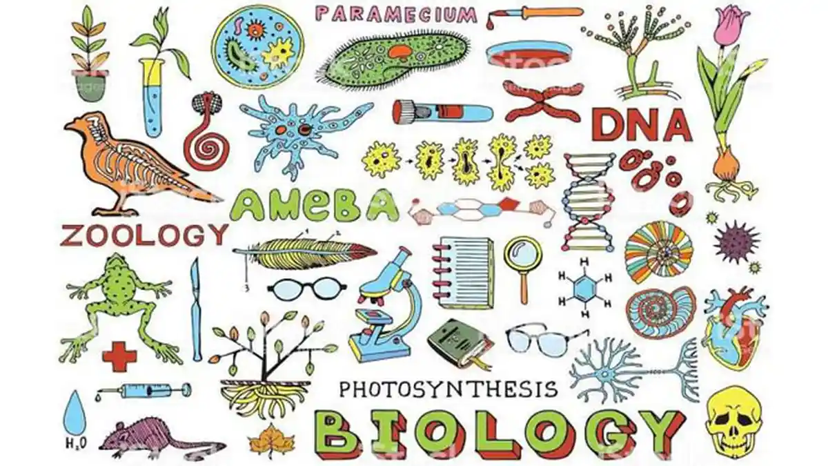 Cabang-cabang Ilmu Biologi:  Materi Belajar Sekolah