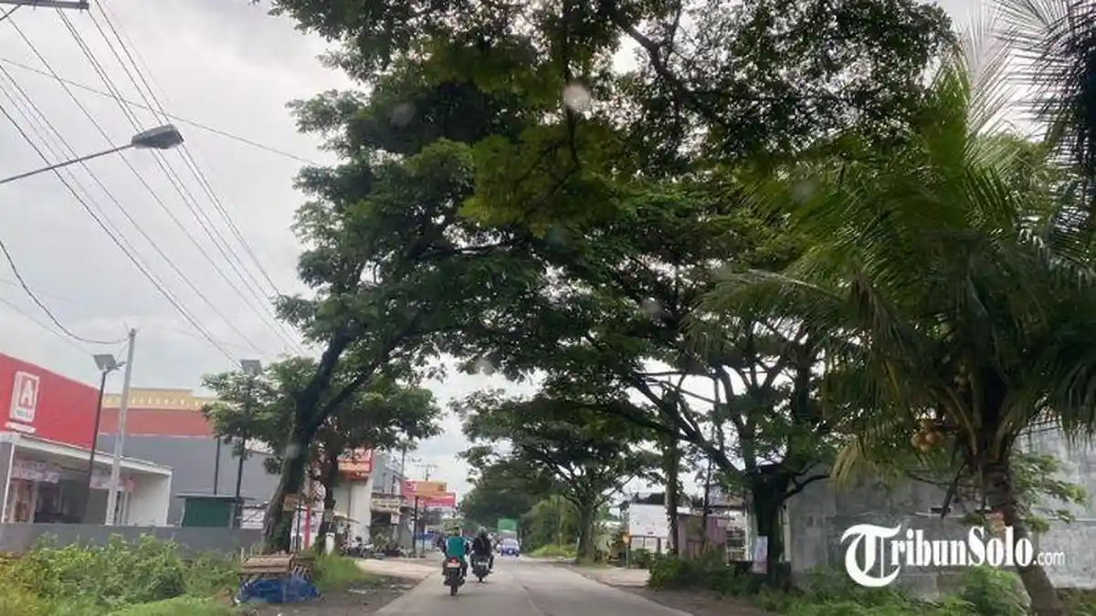 Prakiraan Cuaca Karanganyar Jumat 12 Juni 2026 : Sedia Payung, Waspada Hujan Ringan