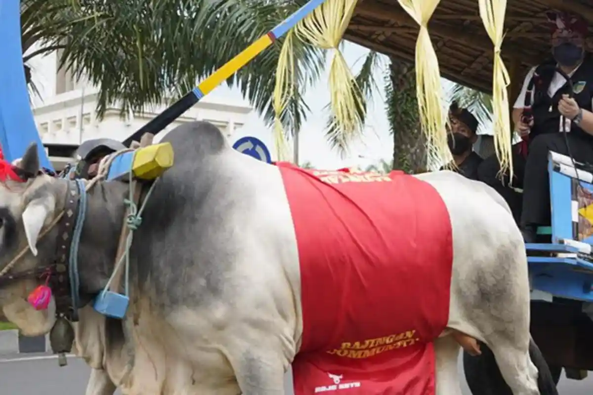 Peringati Hari Jadi Kabupaten Kediri, Bupati Mas Dhito Coba Jadi 'Bajingan'