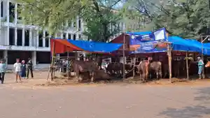 Lapak-penjual-hewan-kurban-di-halaman-gedung-bekas-Bandara.jpg