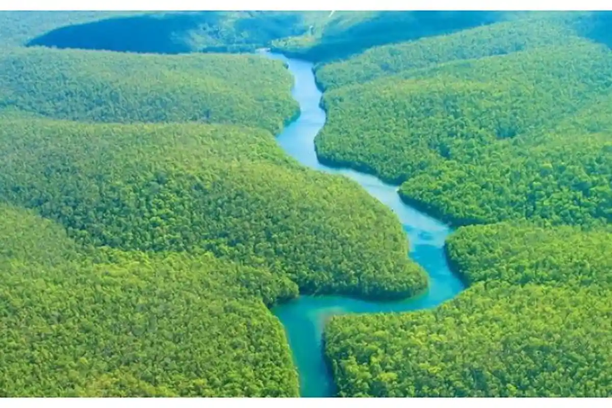 Luas Sungai Amazon Hampir Setara Negara Jerman