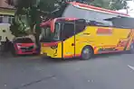 20260313_Bus-kuning-yang-membawa-Bupati-Cilacap-Syamsul-Aulia-Rachman_1.jpg