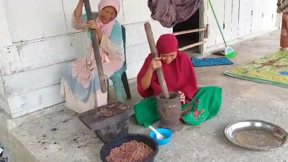 Melihat Pengolahan Terasi Udang Sabu Murni Khas Singkil 