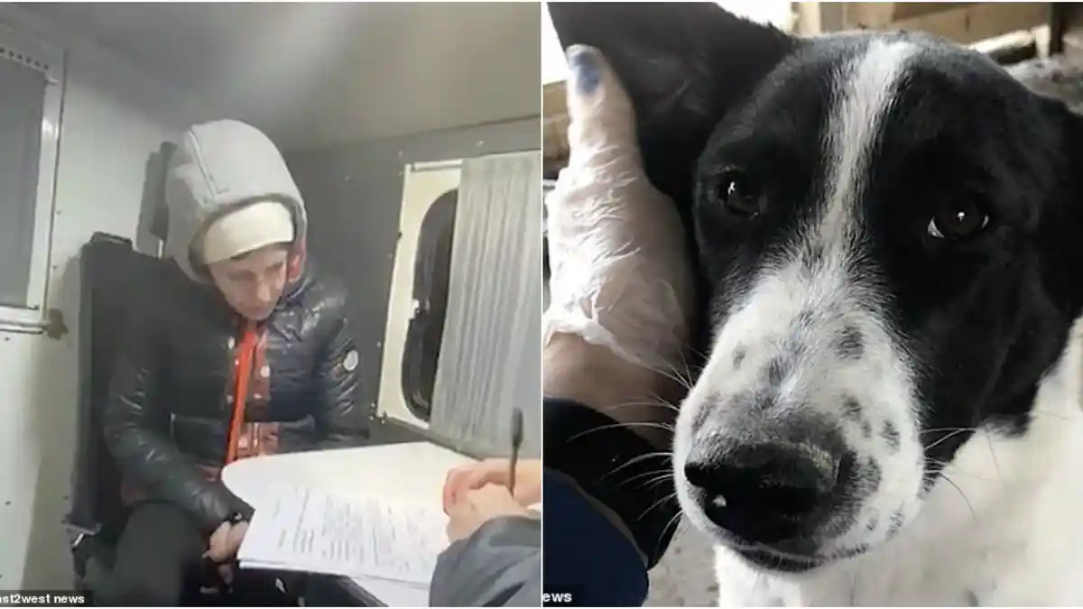 Pasutri Bunuh dan Makan Anjing yang Baru Diadopsi dari Penampungan, Dilaporkan ke Polisi