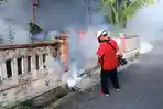Pelaksanaan-fogging-di-Kota-Denpasar-untuk-mengatasi-Demam-Berdarah-Dengue.jpg
