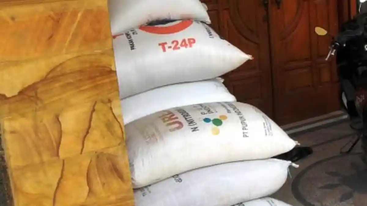 Maling Apes di Lamongan, Kecelakaan Seusai Mencuri 10 Sak Gabah, Pria Ini Ditinggal Kabur Temannya