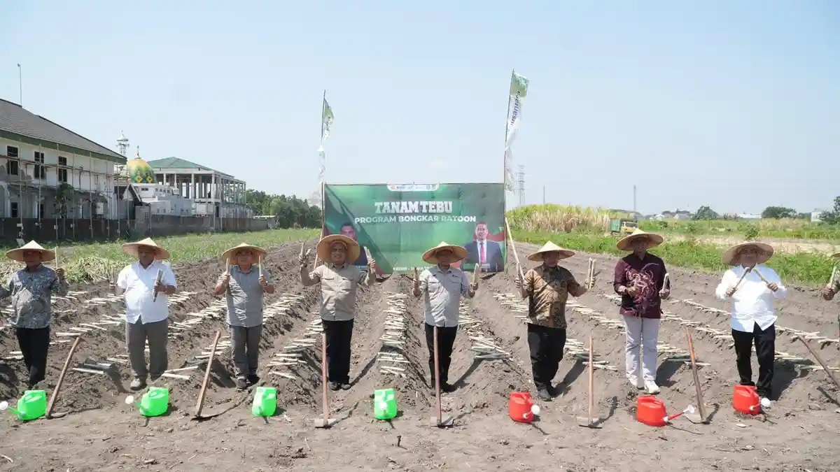 SGN Dorong Produktivitas Tebu di Kediri Lewat Peremajaan Tanaman dan Bantuan Pompa Air
