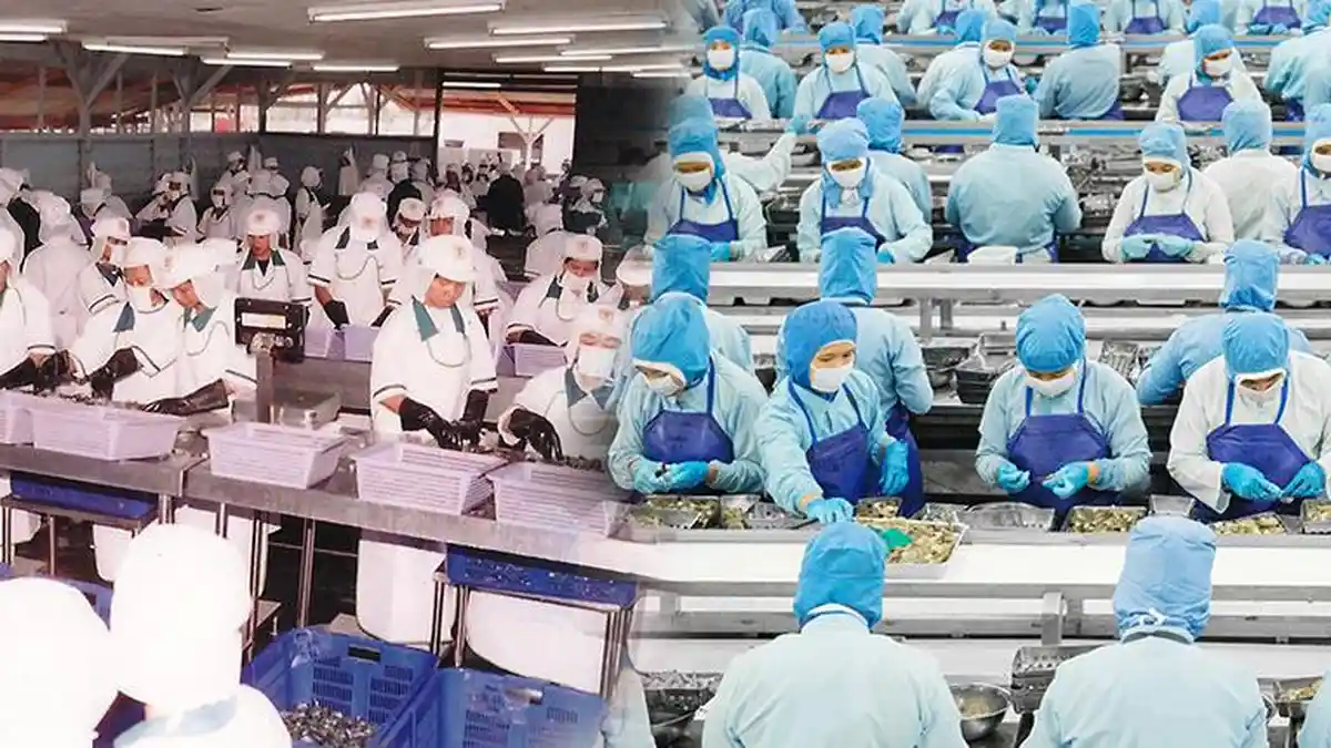 Meski di Masa Pandemi, CPRO Tetap Mencatat Kenaikan Penjualan dan EBITDA