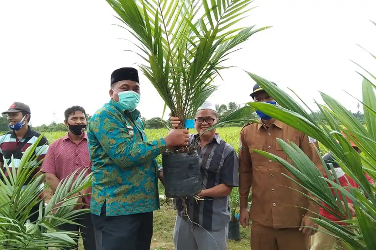 Bupati Aceh Singkil Setuju tak Perpanjang Izin HGU PT Socfindo, Ini Alasannya