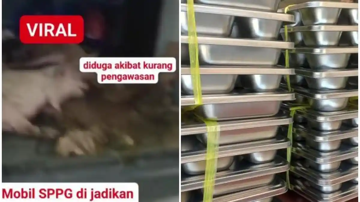 Viral Mobil Dapur MBG Angkut Babi, Kepala BGN Benarkan