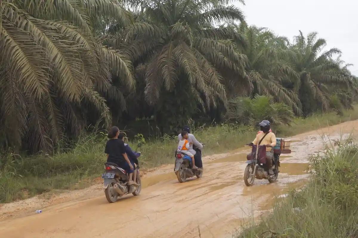 Ironis, Kutim Punya Kebun Sawit yang Luas, tapi Warganya Kesulitan Dapat Minyak Goreng