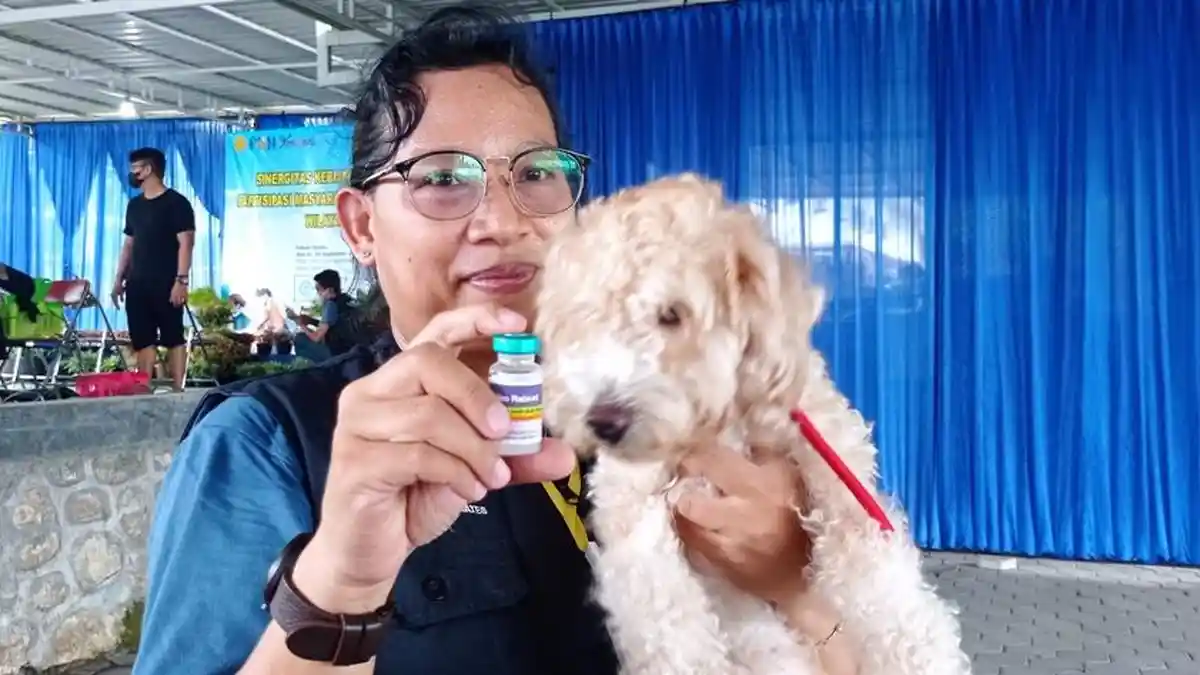 Anjing yang Diduga Terpapar Rabies Ngamuk Gigit 18 Warga di Bali